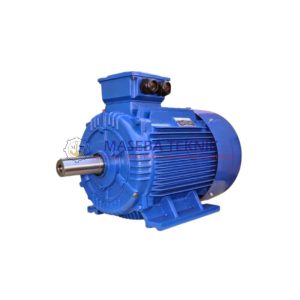 ELECTRO MOTOR
